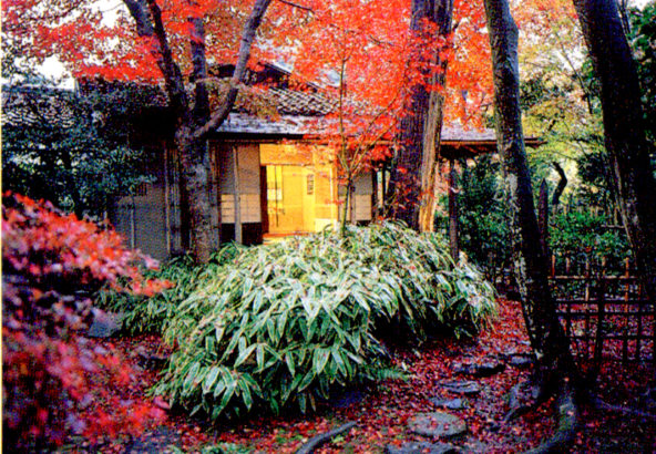 妙心寺塔頭大法院 紅葉の路地庭園特別公開と昼食プラン 公式 京料理 花ごころ 妙心寺派花園会館